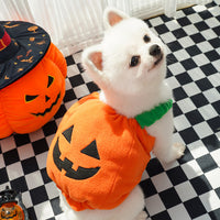 Disfraz de Calabaza para Perros y Gatos - Halloween y Navidad