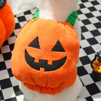 Disfraz de Calabaza para Perros y Gatos - Halloween y Navidad