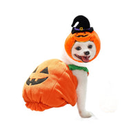 Disfraz de Calabaza para Perros y Gatos - Halloween y Navidad
