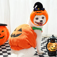 Disfraz de Calabaza para Perros y Gatos - Halloween y Navidad
