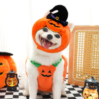 Disfraz de Calabaza para Perros y Gatos - Halloween y Navidad